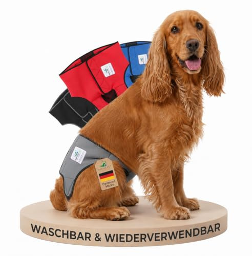NATURE PET Premium Läufigkeitshose für Hündinnen – Hochwertige & Bequeme Hundewindeln für Hündinnen & Rüden – Waschbare Inkontinenz-Hundewindel ohne Einfädeln der Rute – S-L/Grau