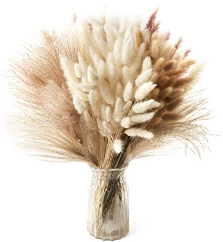 185 Stück Pampasgras Getrocknet Natürliche Trockenblumen Pampasgras Flauschige Wedel Lagurus und Schilfblume Trockenblumen Strauß Dried Flowers, für DIY Blumen Arrangements Heim Boho Decor, 42CM