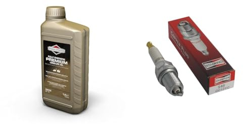 Huile de moteur 4 temps synthétique longue durée Briggs & Stratton 100007S 5W30, 1,0 litre & CHAMPION - Bougie D'Allumage CHAMPION QC12YC - Durable & Fiable - Haute Qualité - Equivalent NGK