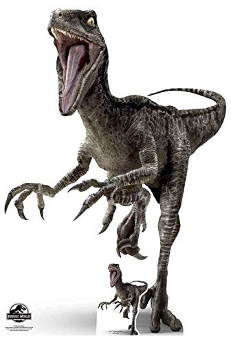 STAR CUTOUTS SC1280 Raptor Blue Jurassic World Dinosaurier Pappaufsteller - Ideal für Jurassic Park Themenpartys, Geburtstage, Fans & Events