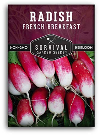 French Breakfast Radish Seeds for Planting – Heirloom Radishes with Long Red & White Roots – Fast-Growing Cool Season Crop for Spring & Fall - Survival Garden Seeds (1 Pack)