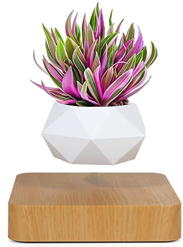 Vaso per bonsai ad aria levitante, vaso per fiori rotante, vaso sospeso a levitazione magnetica, vaso sospeso per piante in vaso, decorazione per la casa e la scrivania, in vasi da fiori e fioriere da