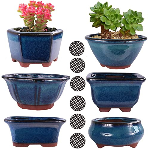 MUZHI Glasierter Bonsai-Topf, Pflanzgefäß, 7,6 cm, 10,2 cm, kleine Sukkulentententöpfe, Yixing Zisha, dekorativer Mame-Bonsai-Trainingstopf oder kleine Blumen, Kakteen, Starter-Pflanzgefäße, Blau, 6