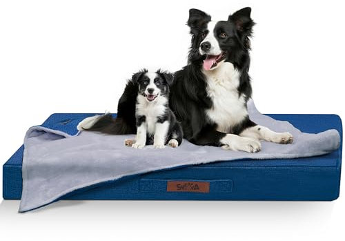 Sytopia Hundebett Groß, L92xB69xH7,6 cm, Extra Gepolstert & Breit - Orthopädisches Hundebett Robust & Unzerstörbar, Waschbar, Flauschiges Hundekissen in Blau für Große Hunde MM-SYT