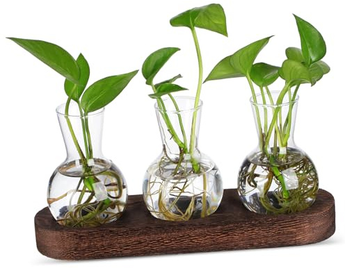 POPETPOP Vase Verre Transparent pour Hydroponie Flacon De Propagation Et Décoration De Bureau
