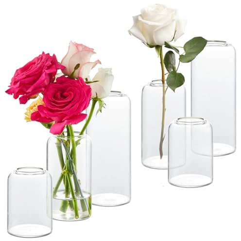 KAMJUNTAR Glasvaser för blommor set med 6