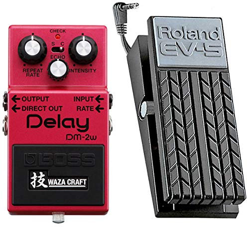 Boss DM-2w Delay Waza Effekt-Gerät + EV-5 Expression Pedal