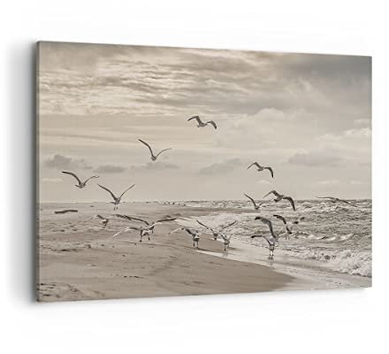 ARTTOR Wandbilder Dekoration Wohnzimmer Möwen Küste Boho Bilder auf Leinwand 120x80cm Leinwandbild Schlafzimmer Küche Deko Wand Kunstdruck Art Groß XXL Wanddeko Bild Wall Decor Canvas AA120x80-4723