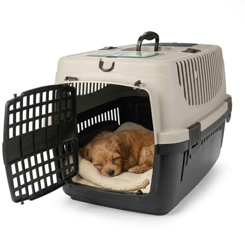 Happet Hundetransportbox Molly M Beige Braun 55x36,5x33 cm – Stabile Transportbox Hund aus Kunststoff mit Belüftung, sichere Hundebox für Auto, Reisen & Transport für kleine Hunde