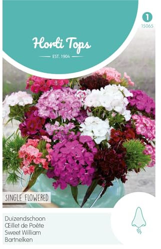 Hortitops 15065 Bartnelken Mischung (Nelkensamen)