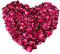VASANA 1 bolsa (100 gramos) de pétalos de rosa roja naturales secos orgánicos, flores secas para mesa de boda, confeti, maceta, bañera, bombas de spa, decoración de fiesta