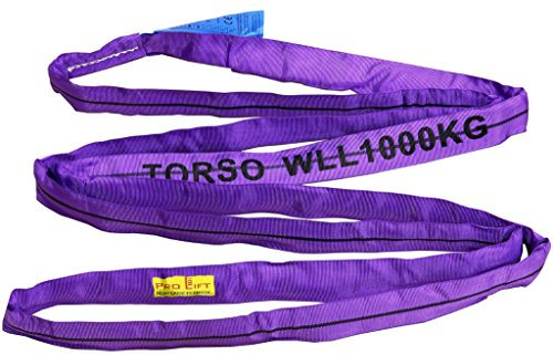 Pro-Lift-Montagetechnik 1t Rundschlinge, Hebeband, Länge 2m, lila, RS12J, 02181