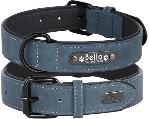 Didog Hundehalsband, weiches, gepolstertes, Leder, mit personalisierbarem, graviertem Namensschild, D-Ring. Für kleine und mittelgroße Hunde geeignet.