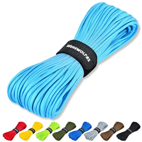 WEREWOLVES Paracord Rope, 7 Strands 4mm 100ft Parachute Cord for Crafts, DIY Projects, Survival Bracelets (Sky Blue, 100 Feet)