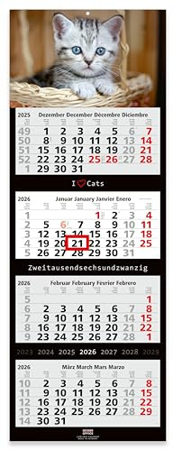 Geiger-Office 4-Monats-Wandkalender 2026 Katzen Großformat 33 x 90 cm mit attraktivem Katzen-Bildmotiv