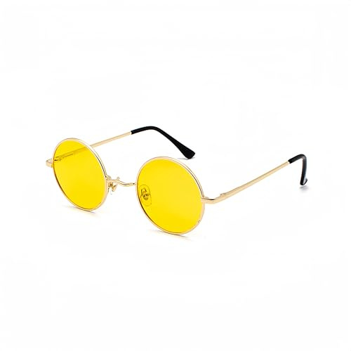 WDZAYXC Retro Classic Runde polarisierte Sonnenbrille mit Metallrahmen für Herren und Damen