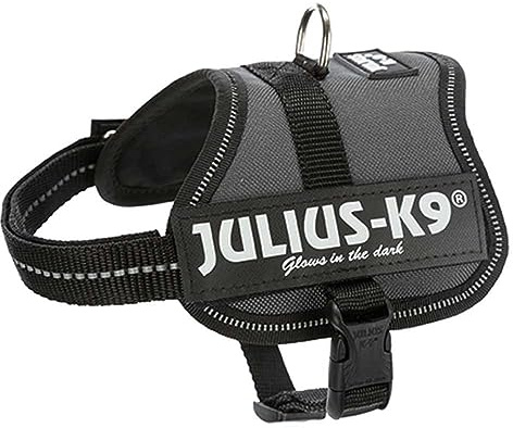 Julius-K9 Arnés K9 Power, Antracita, 2XS/Baby 2