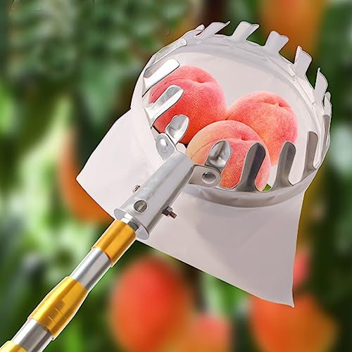 Teleskop-obstpflücker 5 M Mit Stange, Obstpflückwerkzeuge 16 cm, Korb, Obstgreifer, Obstpflücker, Fänger, Obstpflücker, Werkzeug, Rutschfester Griff, for Apfel, Birne, Zitrone, Orange 5M(9.8ft)