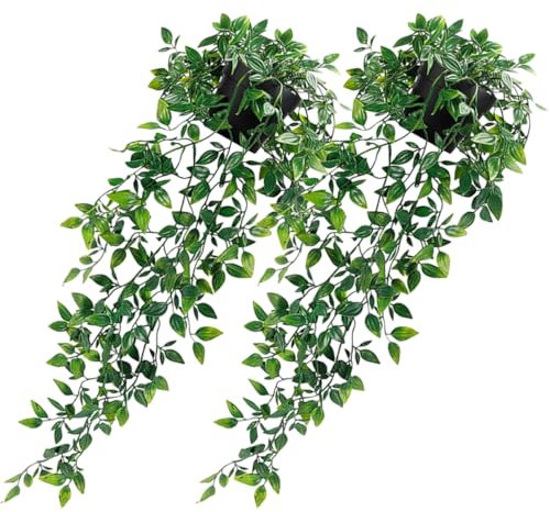 GRIRIW 2stücke Künstliche Hängepflanzen Mit Topf Gefälschte Bonsai Pflanzen Für Zuhause Künstliche Pflanzen Zum Aufhängen Pflanzendekor Für Festdekorationen Und Dekorationen