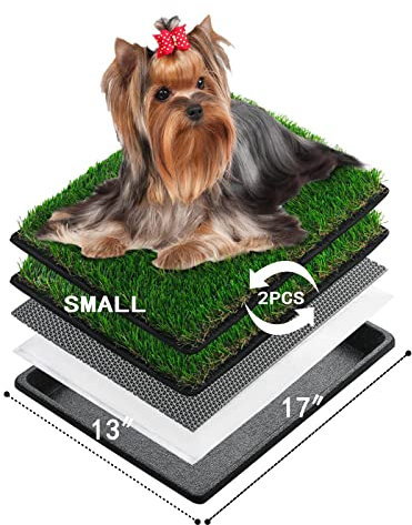 MEEXPAWS Extra Kleine Hundetoilette aus Kunstrasen mit Tablett (44×34 cm) – Hundeklo für Wohnung & Drinnen – 2 Robuste Gras-Ersatzsets & 2 Pisspads – Schnelle Drainage