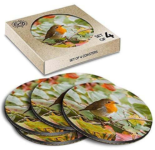4 x Eco Boxed Cork Coasters - Cute Red Robin Bird Garden Winter Drink Cup Mug Glass Table Mat #14318