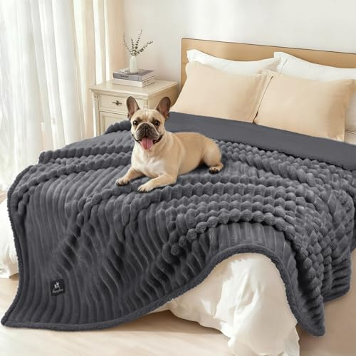 luciphia vattentät hundfilt tvättbar, kattfilt för katter hund valp, gosig filt mjuk fluffig sherpa fleece, husdjurstäcke för att skydda säng soffa soffa, mörkgrå 145 x 216 cm