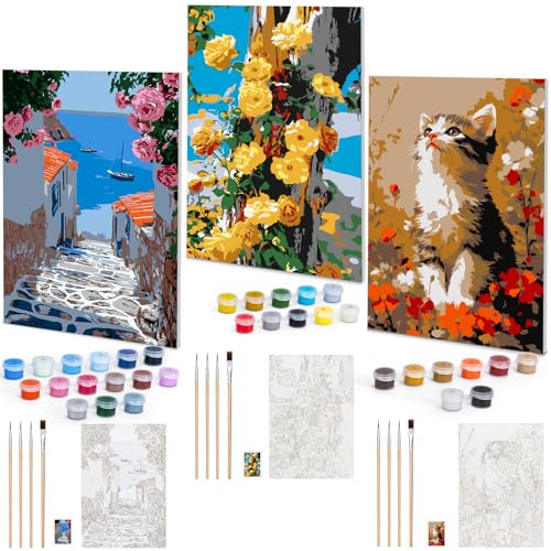Euqvunn Lot de 3 Peinture Numero Adulte avec Cadre, Kit Peinture Numero Adulte DIY Toile 20x30cm avec Pinceaux et Peintures pour Débutant, Art à l'Huile pour Décor Murale