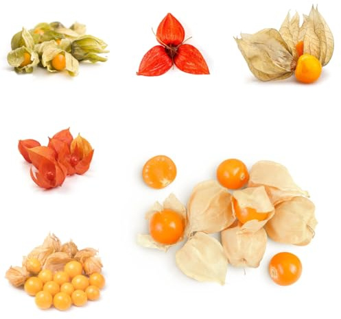 physalis Setos,s, decoración de sala de estar, Uchuva Semillas balcón resistentes jardín resistentes en macetas jardín rocass 160semillas