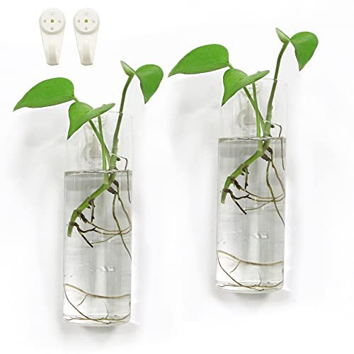 Bunhut Wand-Pflanzgefäße für Zimmerpflanzen, Wandbehang, Terrarium-Pflanzgefäße, Glaswand-Pflanzgefäße für Blumenarrangement, Hängepflanzenhalter, Wandvase, Wand-Pflanzgefäße (2 Glaswand-Pflanzgefäße)