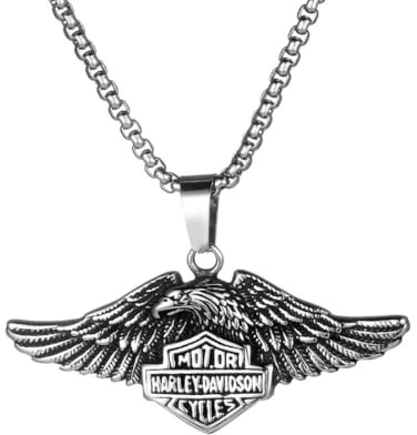 Caiduoduo Titan Stahl Anhänger Vintage Eagle Wings Herren Halskette Personalisierter Adler Mode Anhänger