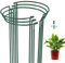 6 pièces Tuteurs pour Plantes, Anneau Support De, Jardin en Métal Plant Stake, Plantes Enjeu De Soutien, pour Jardin, Vignes, Pivoines Attendre (Semi-Circulaire 40 * 25cm, 6pcs)
