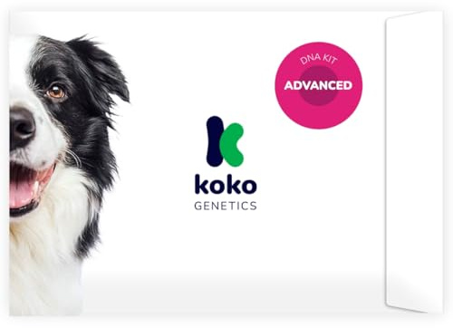 Koko Genetics - Test ADN pour Chiens Advanced (+175 rapports sur les Races, Santé et Traits) - Mises à niveau sans frais