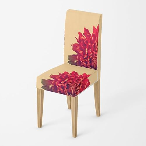 Stuhlhussen Beige Rote Blüten Stuhlhussen Schwingstühle Universal Stretch Hussen für Stühle Abnehmbarer Waschbarer Stuhlbezug Stühle Schutz Dekoration Stuhlhusse(8er Set)