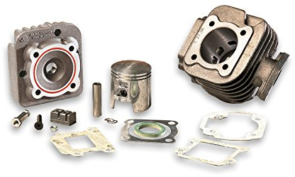 Variateur MULTIVAR 317237 Groupe Thermique ø47 fonte Spin.Ø10 mBK booster spirit 50