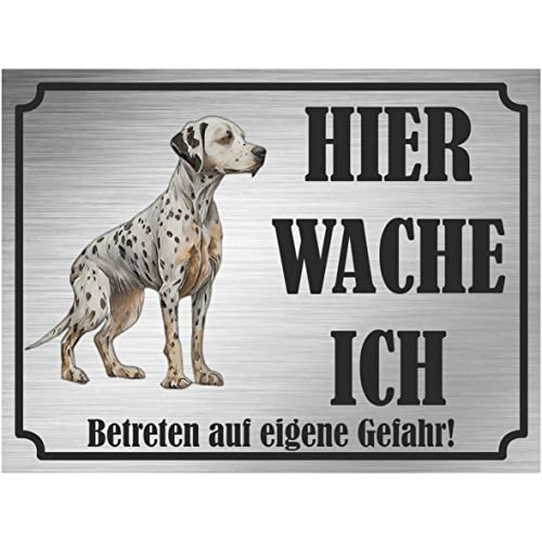 INDIGOS UG - Dalmatiner - Schild bedruckt - Hier wache ich - Aluverbundplatte Edelstahl Look - ab 20x15 cm - Spruch - Deko Geschenkidee für Ihren Hund - Zaun - Türschild