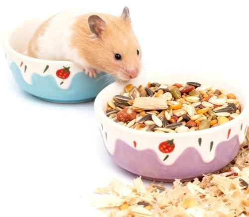 Wontee Hamster Food Bowl 2 Pack Ceramic Food Water Bowl Anti-Tipping for Dwarf Hamsters Gerbil Mice Hedgehog Guinea Pig (Blue+Purple)