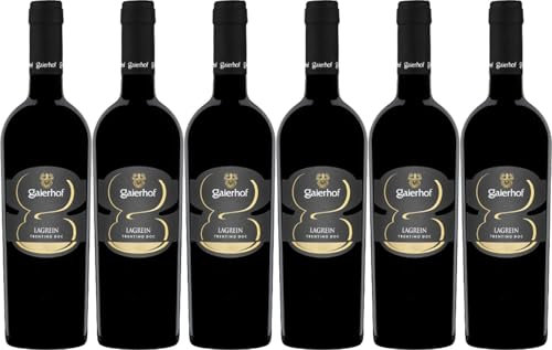 Gaierhof Lagrein Trentino DOC 2023 Trocken (6 x 0.75 l)