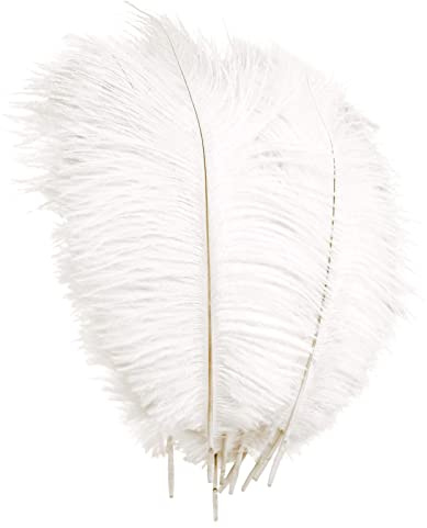 YuZhou 10 PCS Natural Ostrich Feathers, 20-25cm/7.9-9.8inch Wedding Feathers Plume Feather Party Table Feathers Dyed Ostrich Feathers White Feathers Feathers for Centerpieces for Home Wedding Party