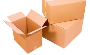 Maelsa® Lot de 25 Boîtes en Carton 250 x 250 x 190 mm - caisse américaine - caisse carton simple cannelure - Pour envoi expédition déménagement Fabricant Français (250x250x190 mm)