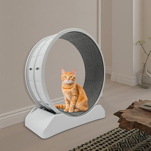 80cm Katzenlaufrad, Katzenlaufrad für Große Katzen, Cat Wheel, Trainingsgeräte für Katzen, Tragfähigkeit 10kg, für Katzen zum Bewegen und Spielen, Grau