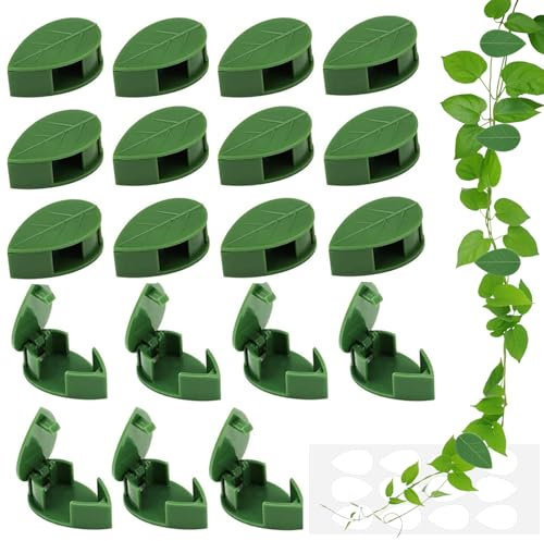 Cfcyhla Pflanzenclips für Kletterpflanzen Wand, 50 Stück Rankhilfehalter Pflanzenclips, Wiederverwendbare unsichtbare Selbstklebende klebrige Acrylhalterun für Gartenarbeit Pflanzenstützung