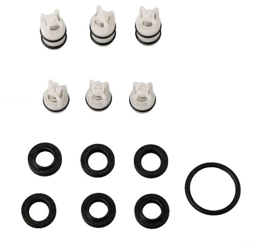 Kit de réparation de pompe de lavage de voiture | Avec clapets anti-retour longs et courts | Joint d'huile à piston | Joint d'étanchéité en caoutchouc pour nettoyeurs haute pression portables à