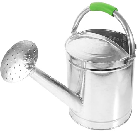 DOITOOL Annaffiatoio da Giardino in Acciaio Inox Beccuccio Lungo Manico Ergonomico e Grande Capacità per Irrigazione Interna ed Esterna di Fiori Bonsai e Piante Colore Colore Casuale