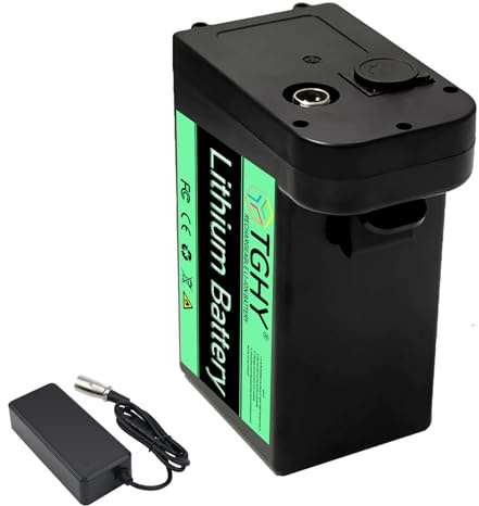 TGHY 24 Volt Electric Wheelchair Battery 24V 10AH 12AH 15AH 16AH 19.2AH Lithium ion Battery for 0-500W Wheelchair Mobility Scooter Motor with Charger,24V10AH