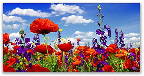 Tulup Acrylic Glass Print 120x60cm Wall Art - Wall Picture Plastic Acrylic Glass - Tulips Nature