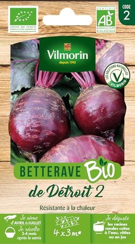 Vilmorin - Betterave Bio détroit 2