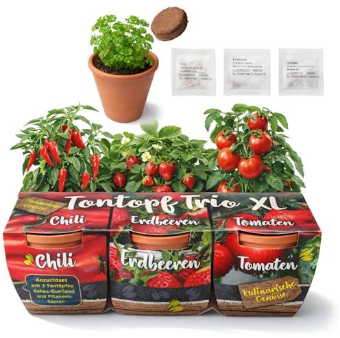 com-four® 3 vasi in terracotta con semi e terriccio – mini serra per peperoncino, fragola e pomodoro – kit di coltivazione per balcone