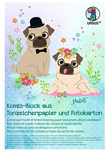 Ursus 7760099 - Kombi Block, pastell, ca. 23 x 33 cm, 20 Blatt in 10 verschiedenen Farben, aus Fotokarton 300 g/qm und Tonzeichenpapier 130g/qm, durchgefärbt, hoher Farbbilanz und Lichtbeständigkeit