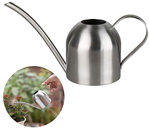 Arrosoir en acier inoxydable, petit pot d'arrosage à long goulot pour maison, intérieur, extérieur, jardin, plantes succulentes, 500 ml (argenté)