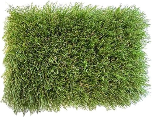 KUNSTRASENWELT - Kunstrasen Flair 640 | Vielseitiger Rollrasen in frischem Grün | Rasenteppich, perfekt für Garten, Terrasse, Balkon & Messen | Kunstrasen mit 40mm Höhe; Größe: 2m x 3m